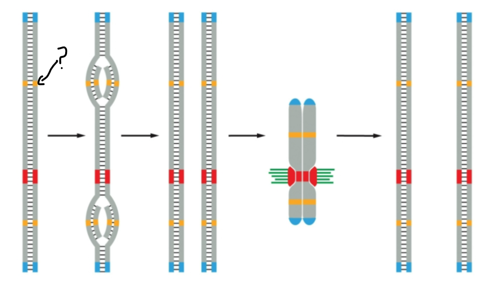 <p><span><span>What is the arrow indicating?</span></span></p>
