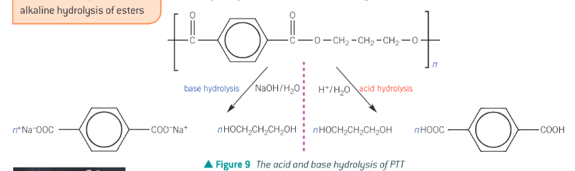 <p>poly(Trimethylene Terephthalate) (PTT) is a polyester used in the manufacture of carpoets and clothing fabrics. The acid and base hydrolysis PTT is in pic</p>