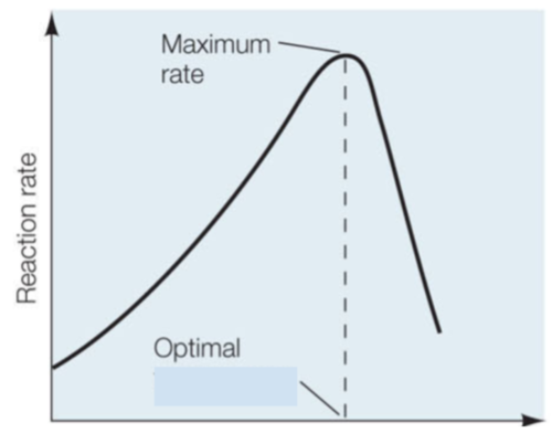 <p>After looking at the shape of graph the enzyme activity of this enzymes is being regulated by what variable:</p>