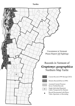 <p>Mostly found in Lake Champlain and major tributaries, VT is the only New England state to have them (S3)</p>