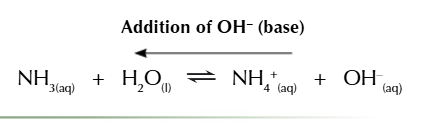 <ul><li><p>a large amount of ammonium chloride ensure the buffer resist the addition of a base</p></li><li><p>the extra OH- reacts with the NH4+ to form ammonia and water</p></li><li><p>the equilibrium shifts left to remove OH- from the solution</p></li></ul><p></p>