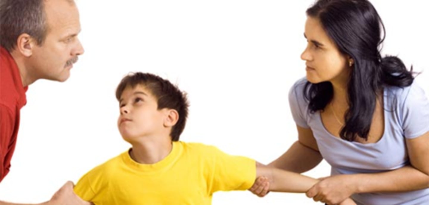 <p>The care, control, and maintenance of children.</p>