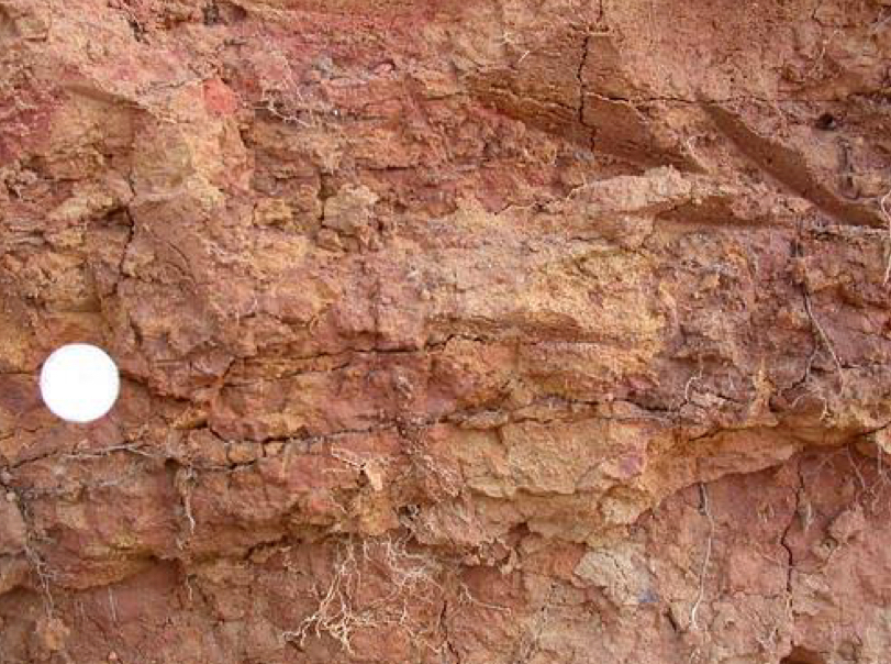 <ul><li><p>Soil structure characterized by 1-10 mm grains usually found in the E horizon </p></li><li><p>May also be found in B horizons</p></li></ul>