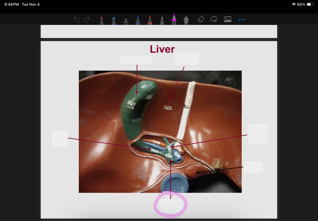 <p>What is this?</p>