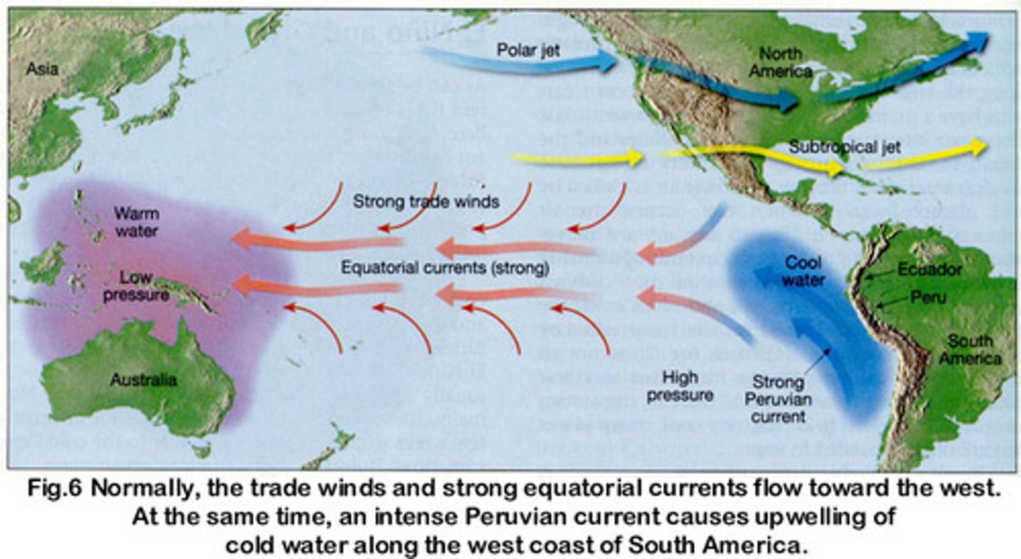 <p>an irregularly occurring and complex series of climatic changes affecting the equatorial Pacific region and beyond every few years, characterized by the appearance of unusually warm, nutrient-poor water off northern Peru and Ecuador, typically in late December.</p>