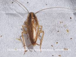 <p>What is this?</p>