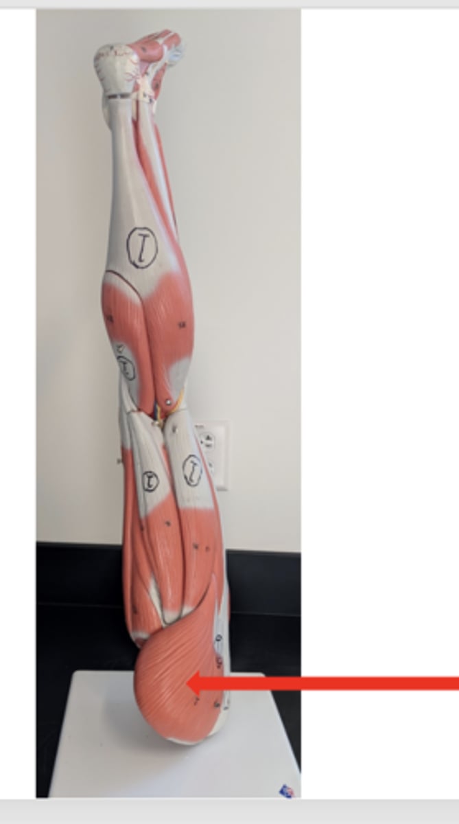 <p>what is this?</p>