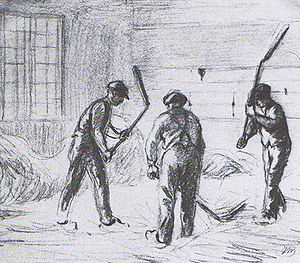 <p>Dorsvlegel</p>