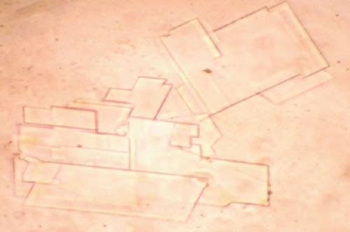 <p>this one is tricky</p>