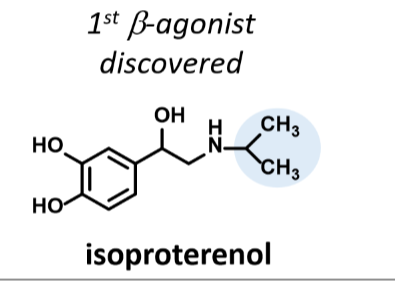 <p>1st B agonist discovered</p><p></p><p>Non selective</p><p>Not orally active bc catechol is metabolized by COMT</p>