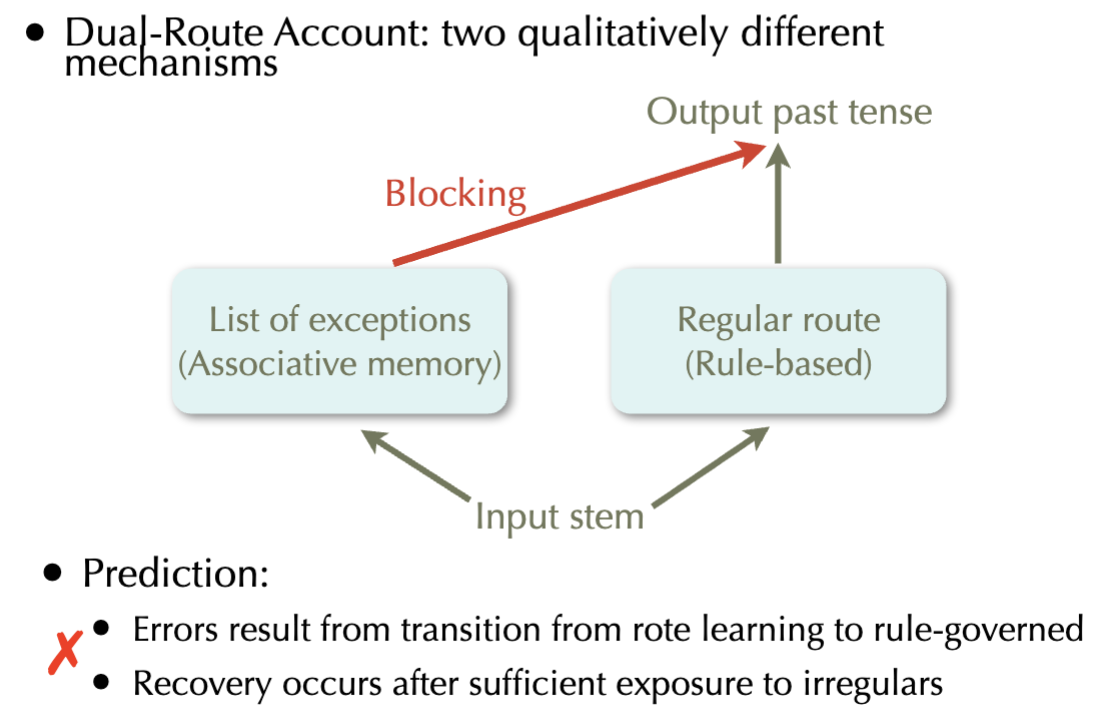 <p>Prediction:</p><ul><li><p>Errors result from transition from rote learning to rule-governed</p></li><li><p>Recovery occurs after sufficient exposure to irregulars</p></li></ul><p></p>