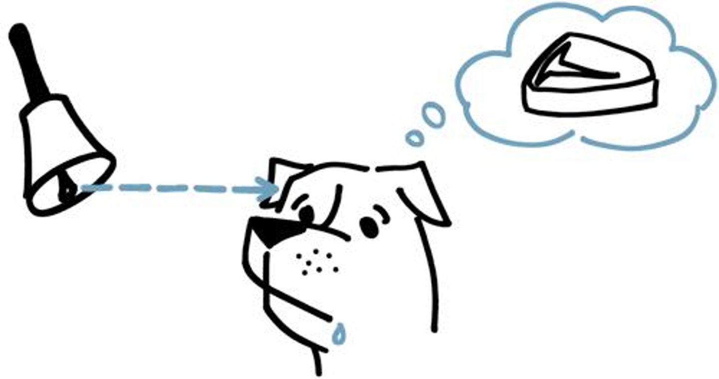 <p>learning that occurs through the repeated (usually) association of two (or more) different stimuli</p>
