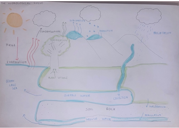 <p class="MsoNormal"></p><p><span><strong>Key features:</strong></span></p><p><span>The continuous movement of water through land, oceans and atmosphere as solids, liquids and gas. Removes water impurities, recycling fresh water supply. </span><span style="background-color: transparent; font-family: Arial, sans-serif, Inter, ui-sans-serif, system-ui, -apple-system, BlinkMacSystemFont, &quot;Segoe UI&quot;, Roboto, &quot;Helvetica Neue&quot;, &quot;Noto Sans&quot;, &quot;Apple Color Emoji&quot;, &quot;Segoe UI Emoji&quot;, &quot;Segoe UI Symbol&quot;, &quot;Noto Color Emoji&quot;; font-size: 1.6rem;">It is driven by solar energy evaporating water sources and has 6 processes: evaporation, condensation, precipitation, infiltration, runoff and transpiration.</span></p><p class="MsoNormal"><span><strong>Influence on climate:</strong></span></p><p><span>It regulates many elements of weather: rainfall, precipitation, humidity, cloud cover and temperature. Temperature increases can amplify evaporation and transpiration leading to flooding.</span><span style="background-color: transparent; font-family: &quot;Times New Roman&quot;; line-height: normal; font-size: 7pt;"> </span><span style="background-color: transparent; font-family: Arial, sans-serif, Inter, ui-sans-serif, system-ui, -apple-system, BlinkMacSystemFont, &quot;Segoe UI&quot;, Roboto, &quot;Helvetica Neue&quot;, &quot;Noto Sans&quot;, &quot;Apple Color Emoji&quot;, &quot;Segoe UI Emoji&quot;, &quot;Segoe UI Symbol&quot;, &quot;Noto Color Emoji&quot;; font-size: 1.6rem;">For example, in 2022 warmer ocean temperatures in east coast Australia led to once in 100-year flooding event in south QLD and north NSW</span></p>