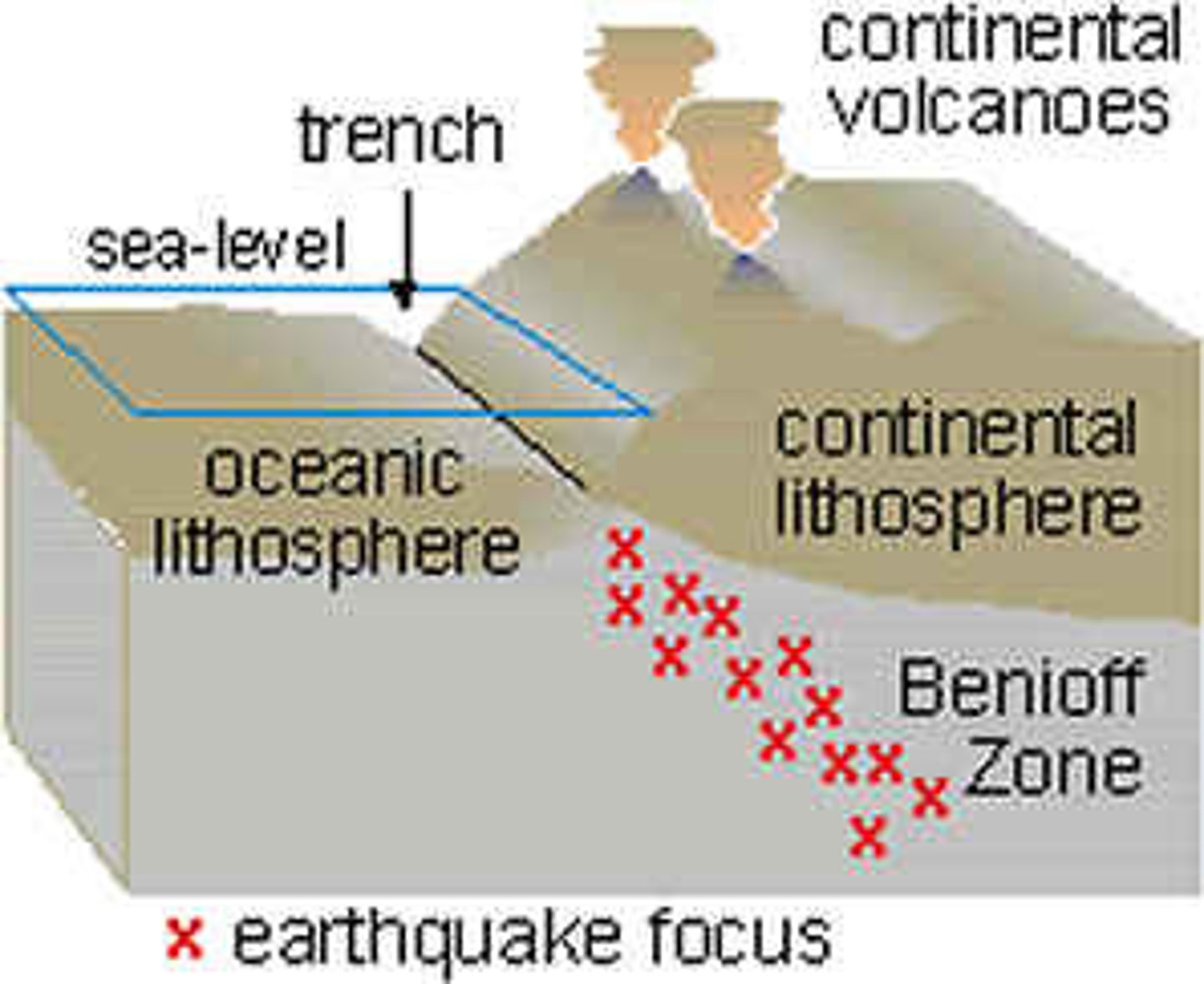 <p>The boundary between the subjecting ocean plate and over-riding continental plate.</p><p>Seismic energy is released here as rocks fault and fracture.</p>