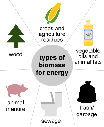 <p>Biomass</p>