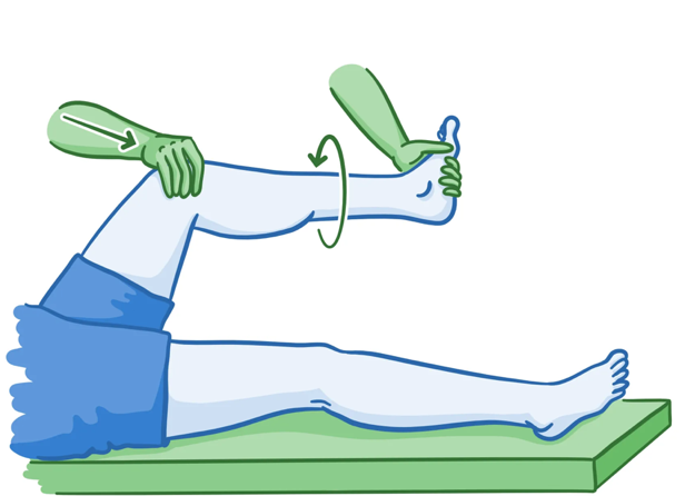 <ol><li><p>Greppa patientens häl med en hand.</p></li><li><p>Placera den andra handen på knäets laterala (yttre) sida.</p></li><li><p>Placera patientens knä i 90° flexion </p></li><li><p>Rotera underbenet utåt (extern rotation).</p></li><li><p>Applicera ett valgustryck (inåttryck) på knäet samtidigt som du rätar ut benet från böjt läge till fullt utsträckt läge.</p></li><li><p>Observera smärta, upphakning eller klickande ljud.</p><p></p></li></ol><p><strong>Vid positivt test misstänks medial meniskskada</strong></p>