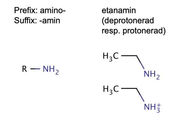 <p>Suffix:-amin och prefix:amino- </p>