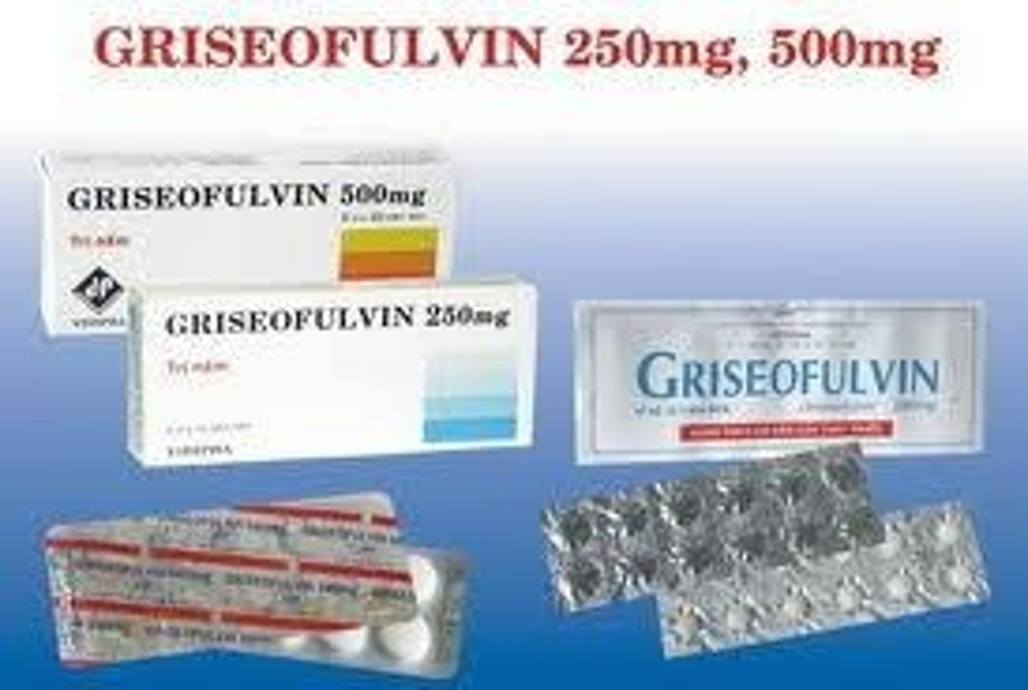 <p>An antifungal used to treat ringworm, toxic in cats, and teratogenic.</p>