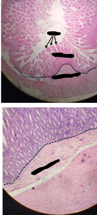 <p></p><p><span>Identification</span></p>