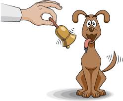 <p>in classical conditioning, a stimulus that elicits no response before conditioning</p><ul><li><p>A bell before conditioning</p></li></ul><p></p>