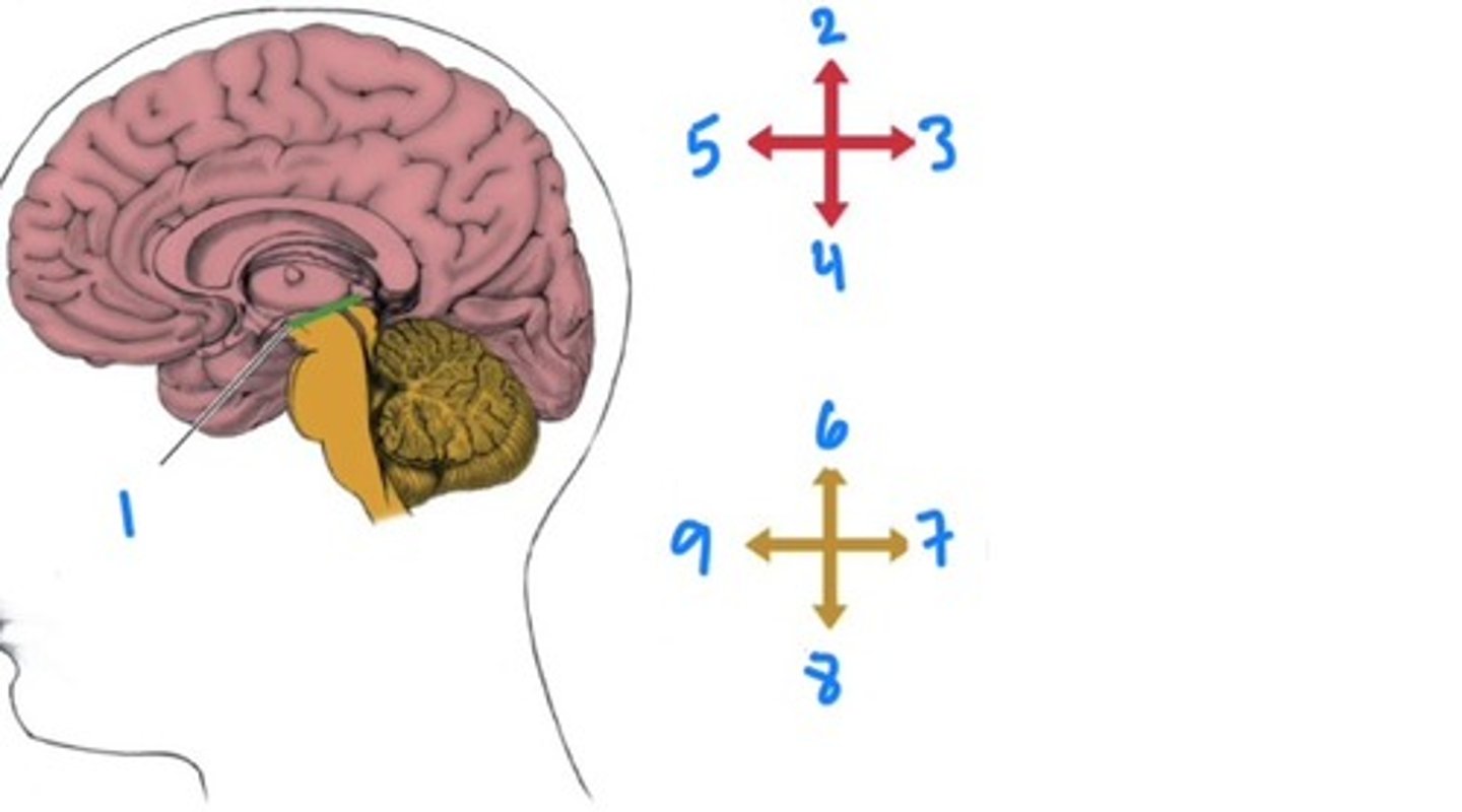 <p>4</p>