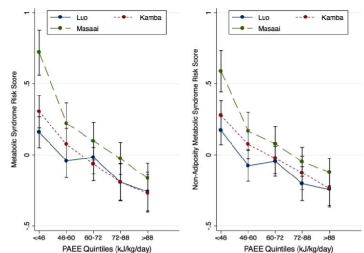 <p>Higher EEPA lowers the risk for developing metabolic syndrome and non-adiposity metabolic syndrome.</p>