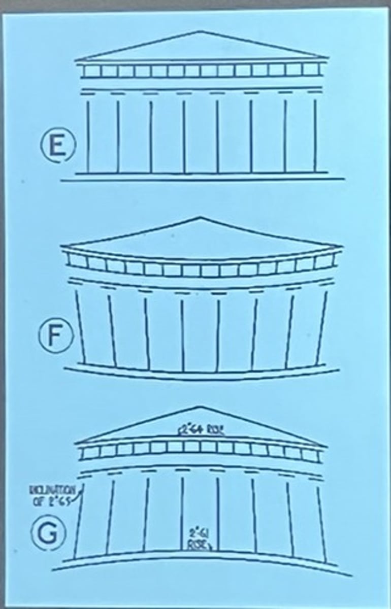 <p>the slight convex bulge given to a column to offset the optical illusion that it is thinner in the middle</p>