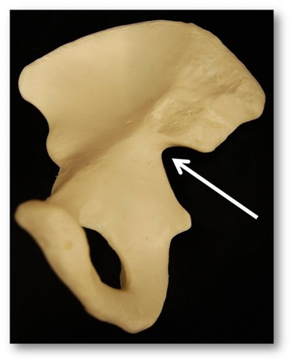 <p>Indentation at the edge of a structure.</p>