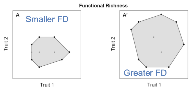 <p>Area corresponds to functional diversity</p>
