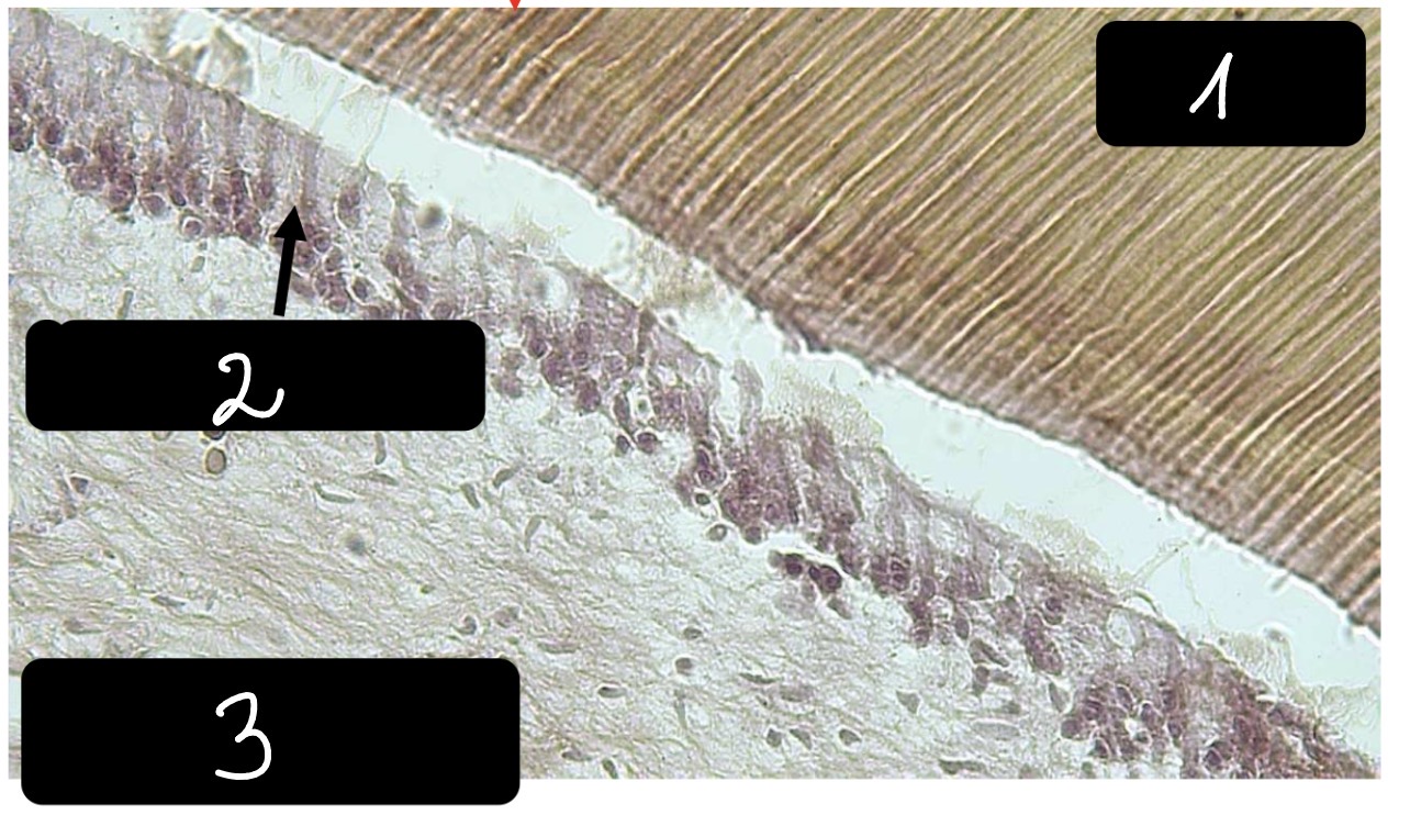 <p>2</p>