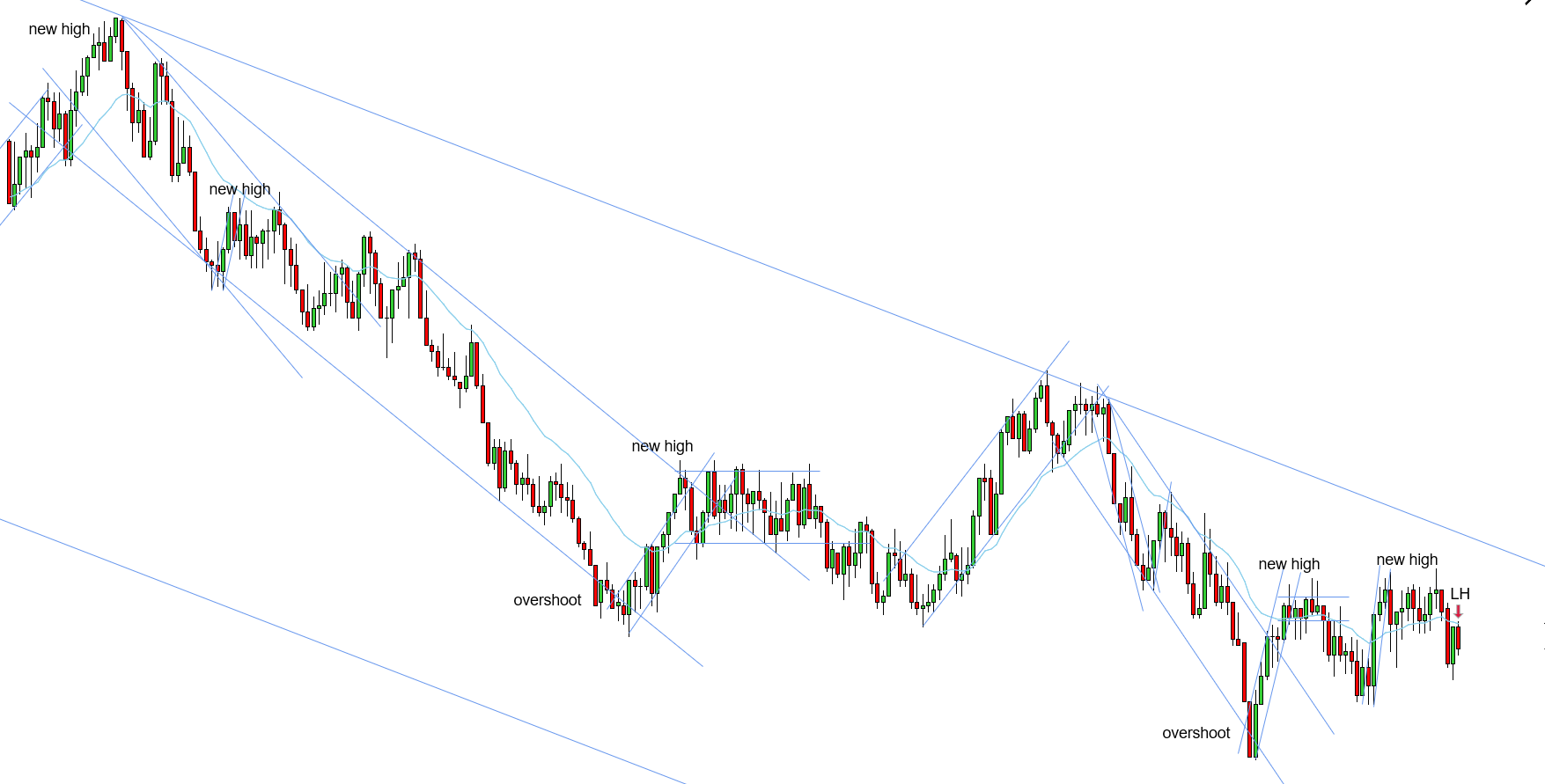 <p>LH - 11/13/2025 (2)</p>