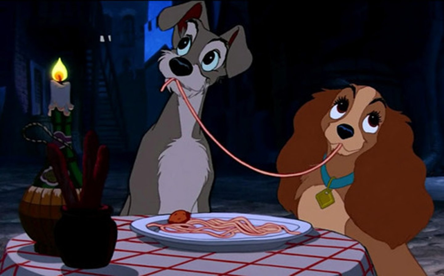<p>they shared</p>