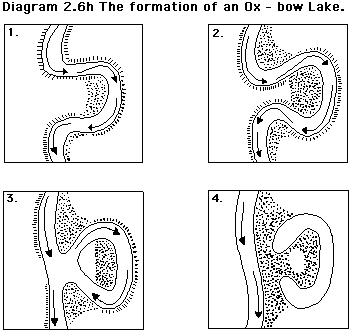 <p>how does number 4 form?</p>