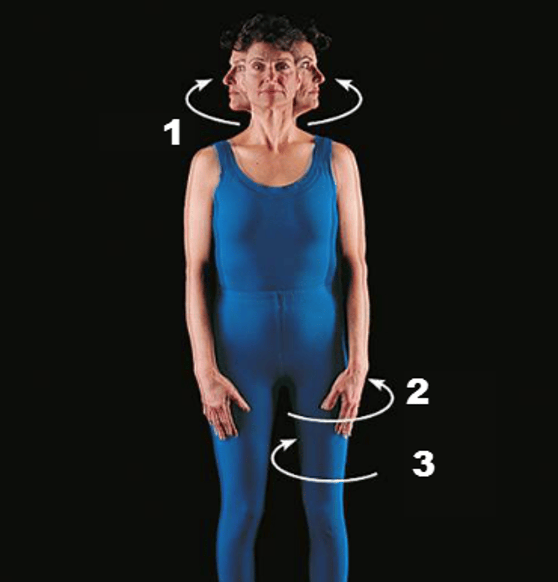 <p>The movement around an axis.</p>