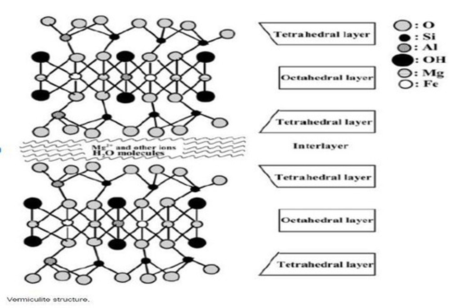 <p>It can turn into vermiculite.</p>