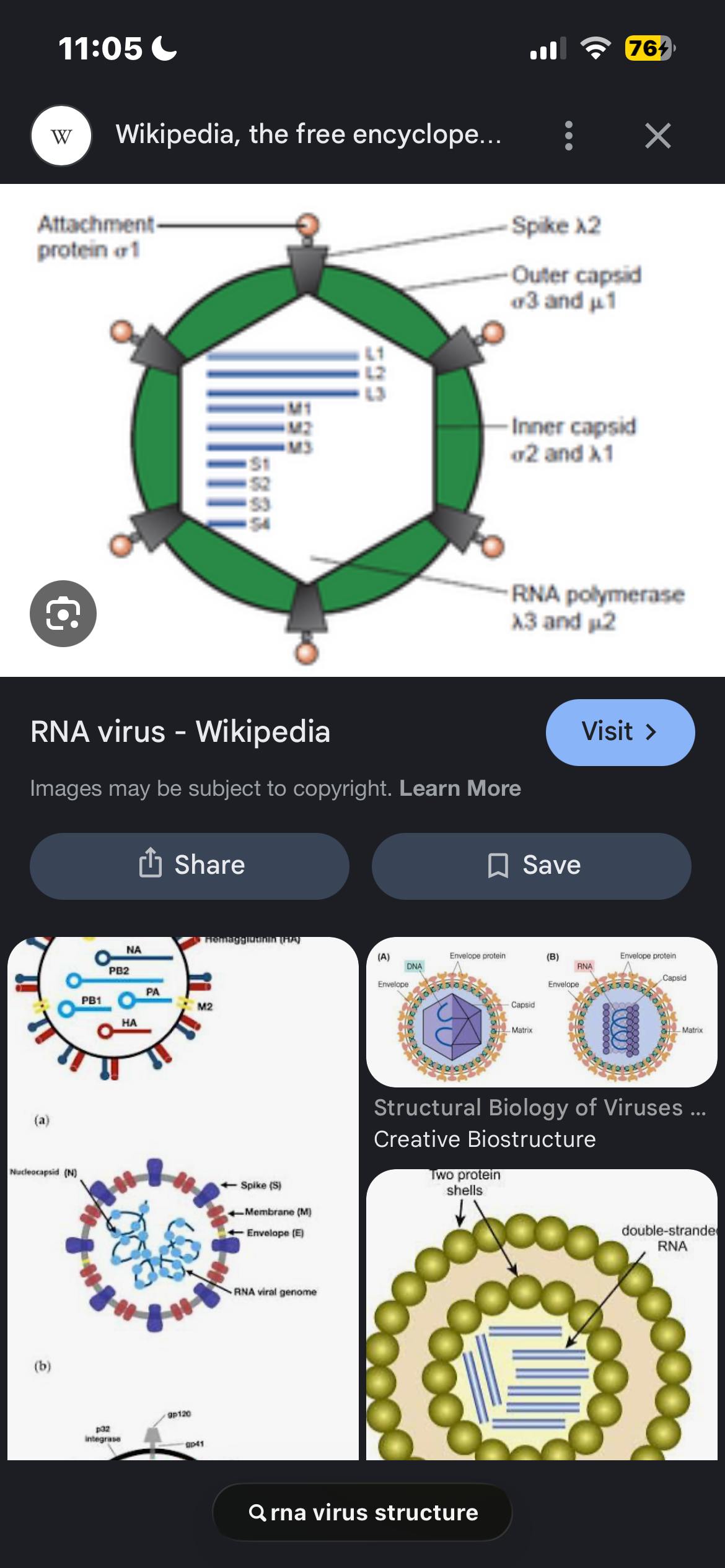 <p>what is a virus’ strucutre (add pic)</p>