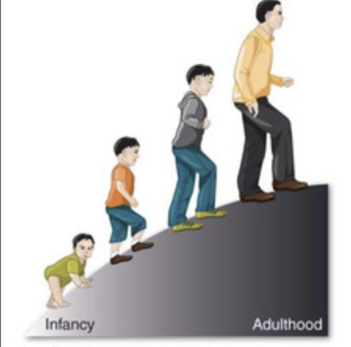 <p>gradual alteration of behavior or capacity</p>