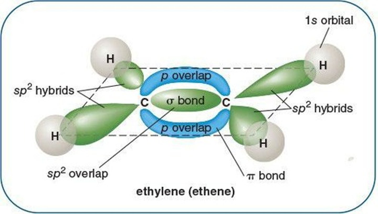 <p>Second bond formed by overlapping unhybridized p orbitals.</p>