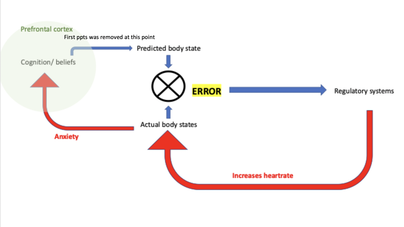 <ul><li><p>not a full panic attack: only observed a decrease in prefrontal cortex activity</p></li><li><p>decline in top-down control</p></li><li><p>suggest there is a top-down cognitive component in the onset of panic attacks</p></li></ul><p></p>