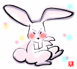 rabbit