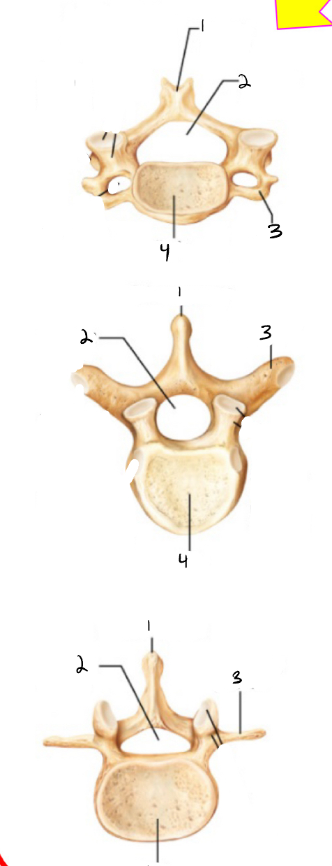 <p>3</p>