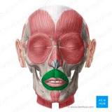 closes the lips, as in a kiss