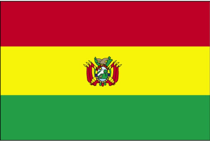 <p>Red: "the blood shed by our heroes for the birth and preservation of the Republic."</p><p>Yellow: "our wealth and resources."</p><p>Green: "the richness of our natural areas as well as hope, a foundational value of our society."</p><p>Civil flag without coat of arms, state and war flag with coat of arms.</p>