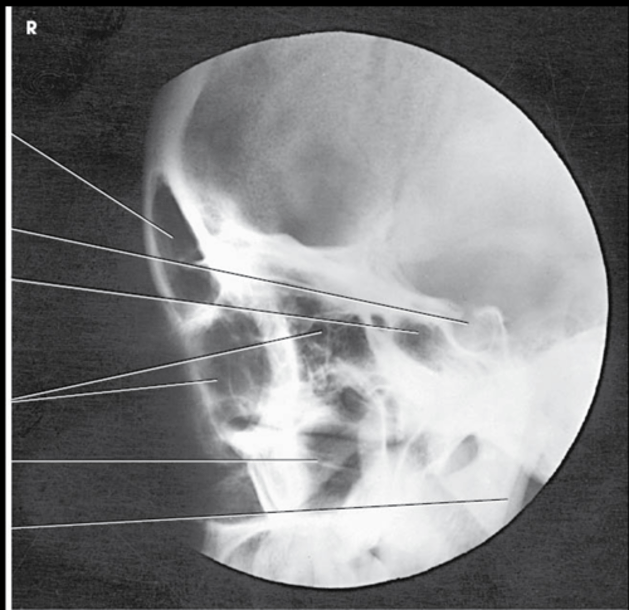 <p>What are the eval criteria for this image?</p>
