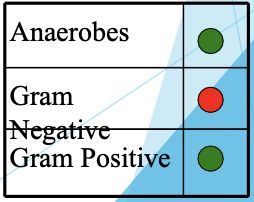 <ul><li><p>G+, anaerobes, no G-, covers MRSA</p></li><li><p>Uses: toxin-mediated disease, osteomyelitis, surgical prophylaxis (PCN allergy), intra-abdominal combination, skin/soft tissue</p></li><li><p>Side Effects: rash, neutropenia, thrombocytopenia, C. diff, colitis</p></li></ul><p></p>