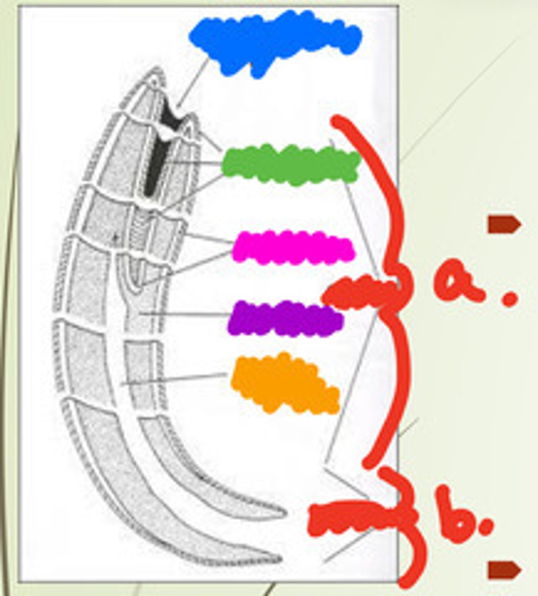 <p>What is the red a?</p>