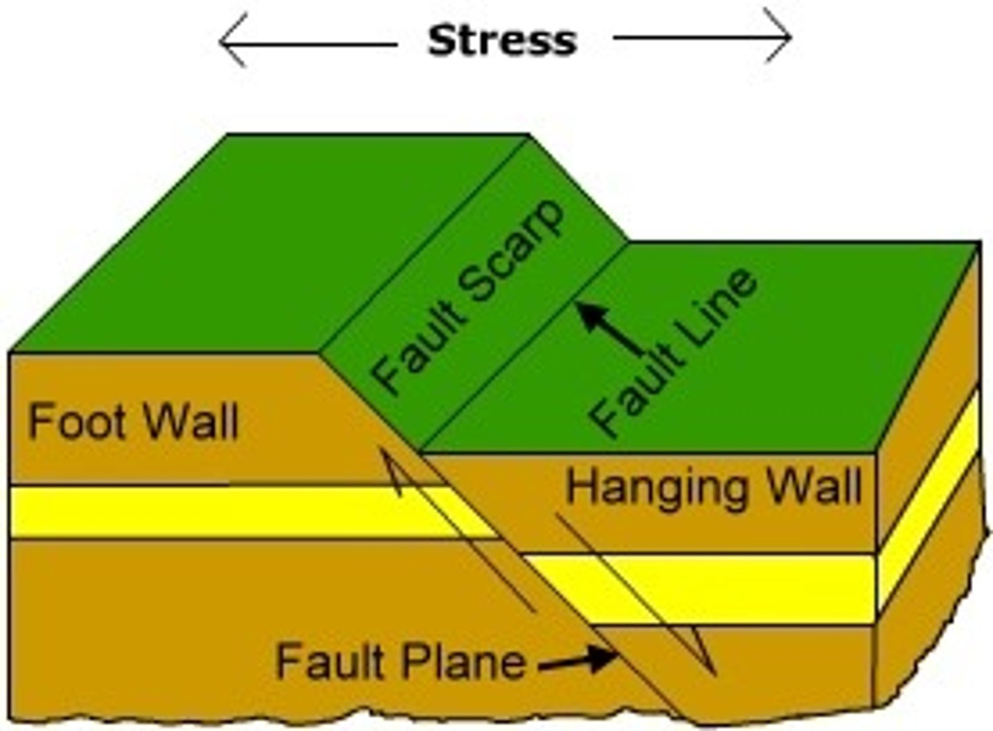 <p>a fracture in rock caused by a movement of Earth's crust.</p>