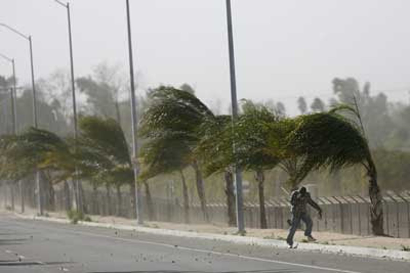 <p>It's windy outside.</p>