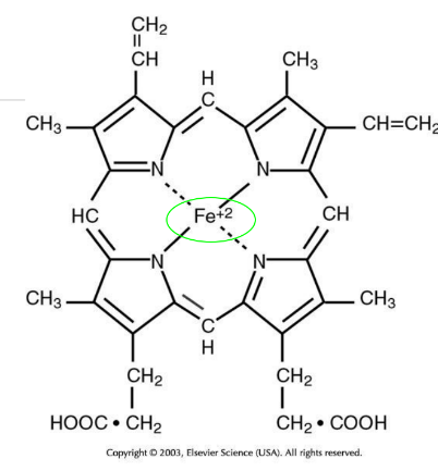 <p>Heme</p>