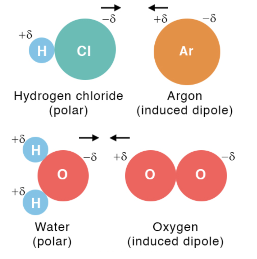 <ul><li><p>Occur in <strong>polar molecules</strong> with <strong>permanent dipoles</strong>.</p></li><li><p>The <strong>positive end</strong> of one molecule attracts the <strong>negative end</strong> of another.</p></li><li><p>Stronger than LDFs but weaker than <strong>hydrogen bonding</strong>.</p></li></ul><p></p>